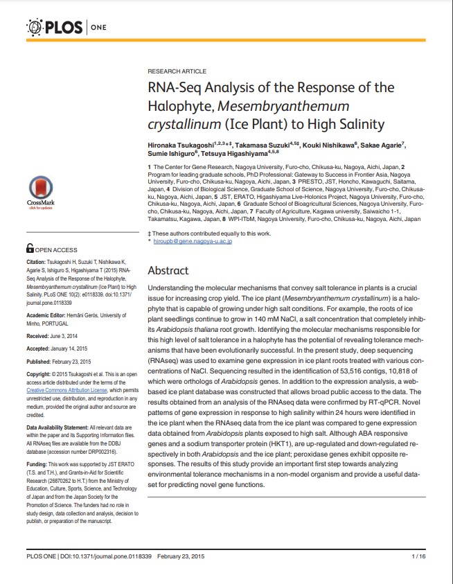 2015 RNA-seq analysis of the response of the halophyte, Mesembryanthemum crystallinum (ice plant) to high salinity